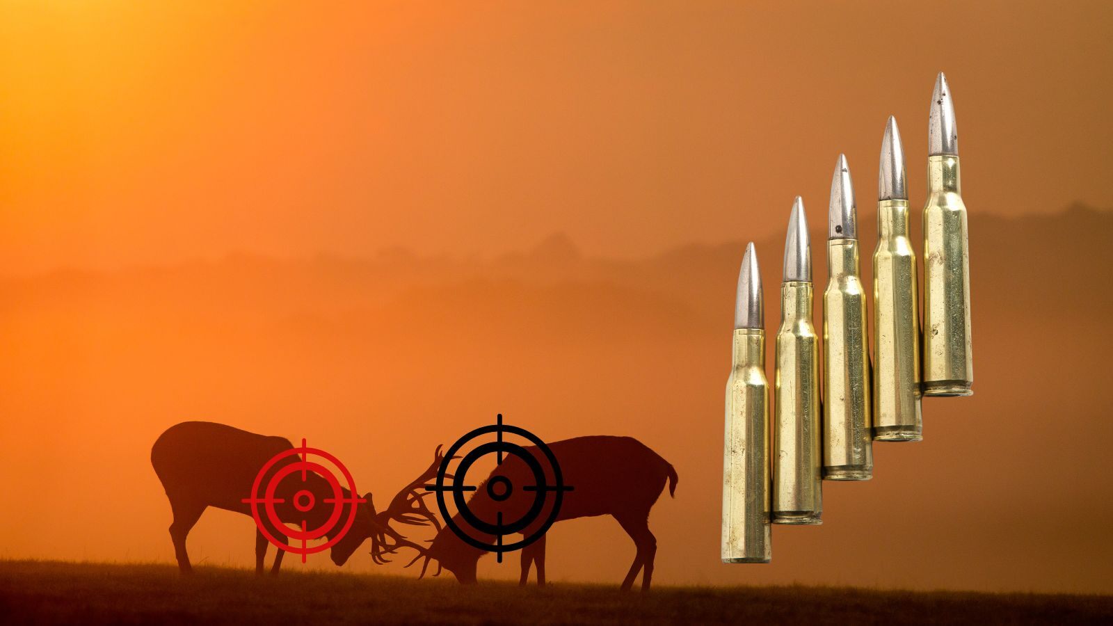 Rimfire Central: Unlocking the Secrets of the World's Most Popular Rifle Cartridges