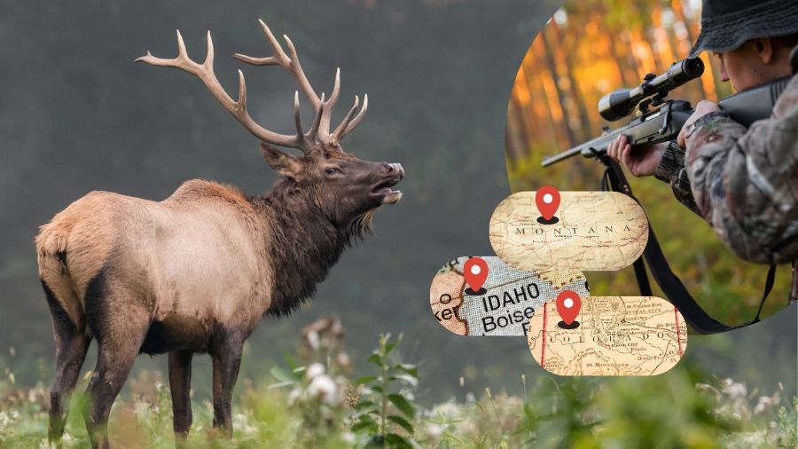 ideal places to hunt elk