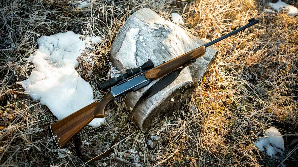Air rifle for hunting