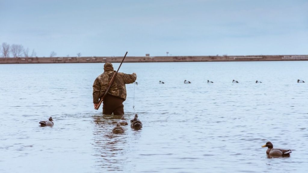 duck hunting - types of hunting