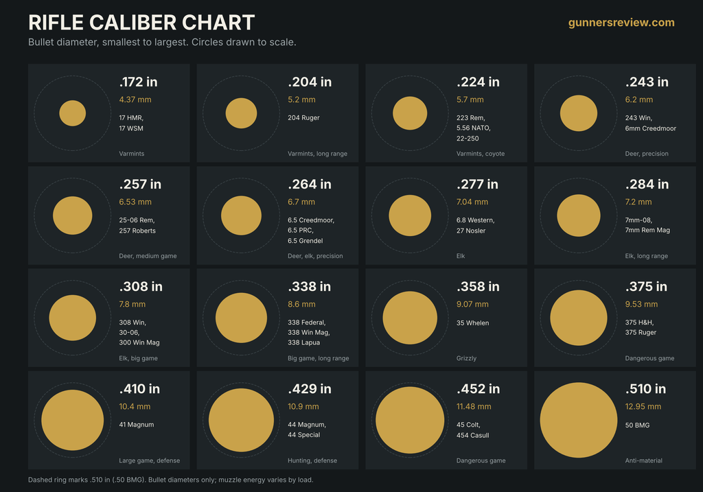 Rifle caliber chart showing bullet diameters from .172 to .510 inch drawn to scale, with common calibers and typical hunting or shooting use for each size.