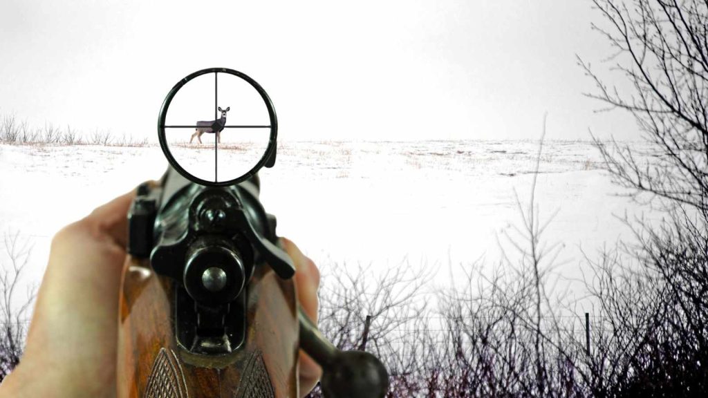 A rifle and telescopic sight aimed at a doe mule deer on a snow covered field