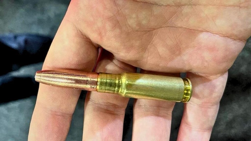 8.6 Blackout Review