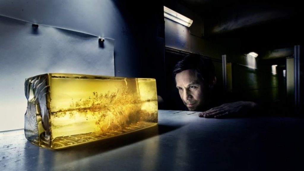 A ballistic gel block showing the deep penetration and energy transfer of a 6.5 PRC round, proving its stopping power.