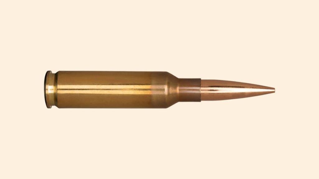 6.5 Creedmoor bullet