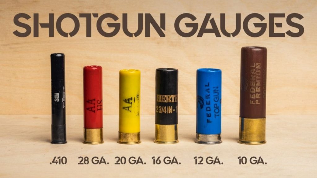A lineup of various shotgun shells labeled by gauge, from .410 to 10 ga., displayed against a wooden background.