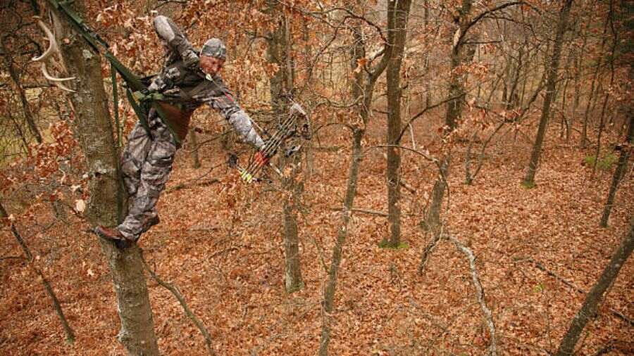 saddle hunting
