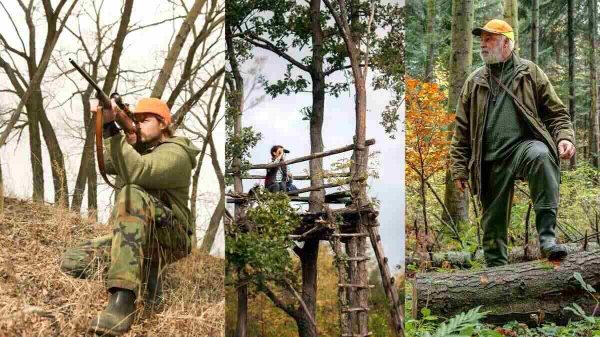 Still Hunting vs Tree Stand Hunting and Spot-and-Stalk Hunting