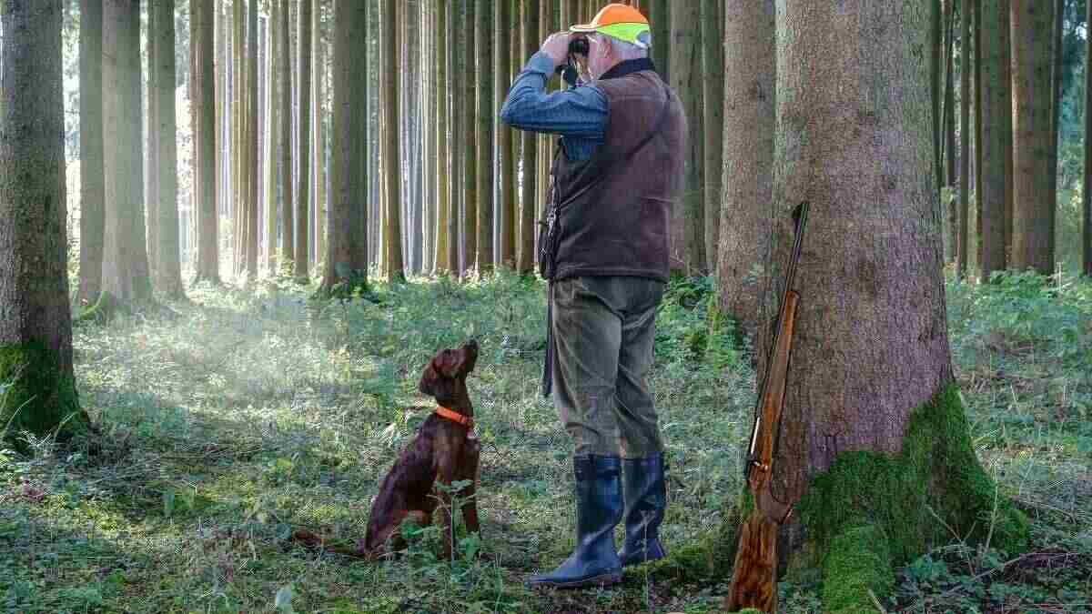 Spot-and-Stalk Hunting