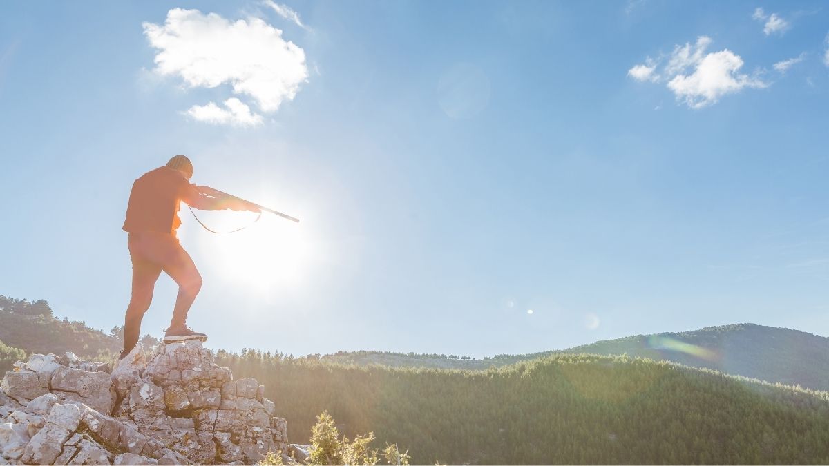 sun and wind strategies