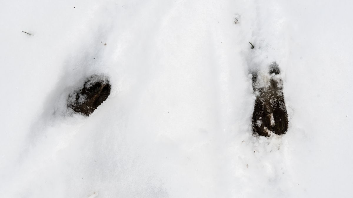 weather and seasonal considerations