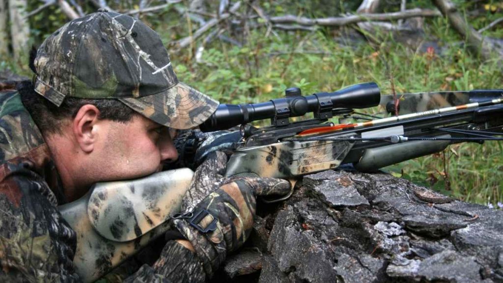 crossbow hunting techniques