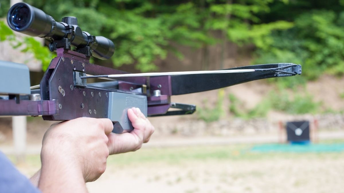 crossbow scope
