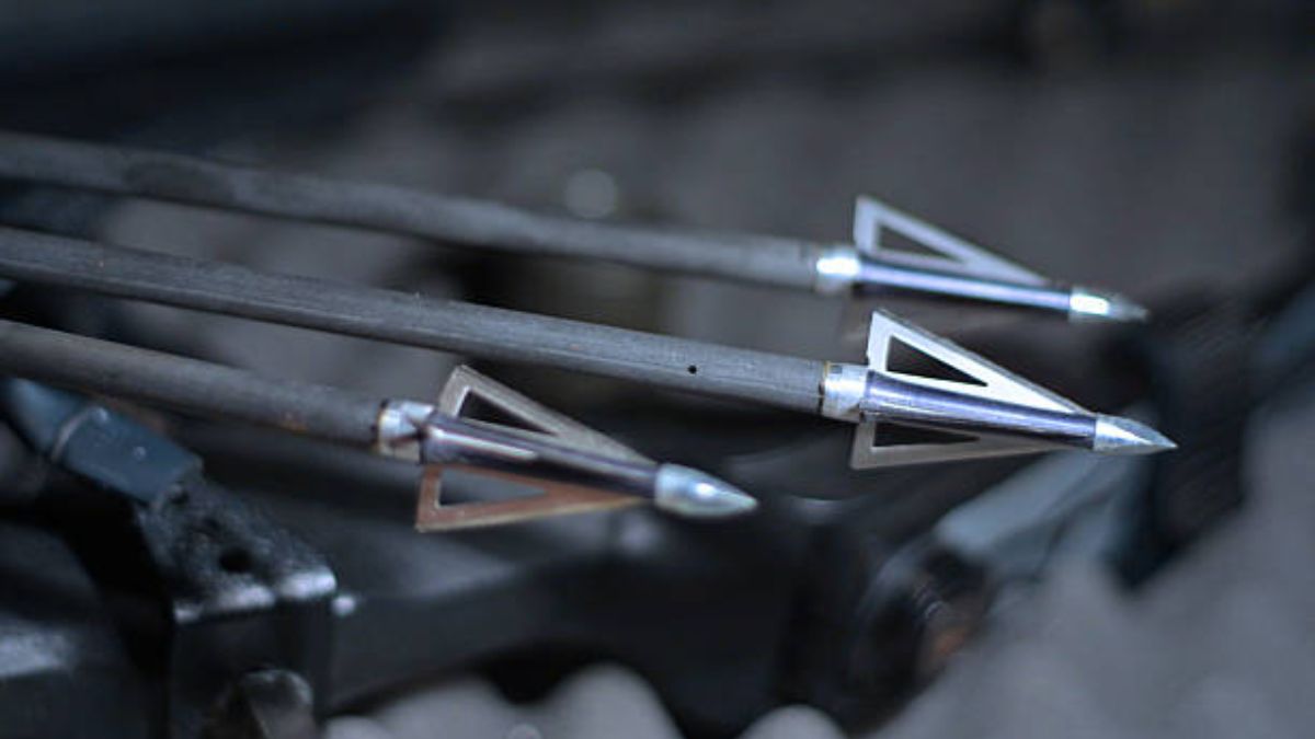 Best Mechanical Broadheads for Crossbow