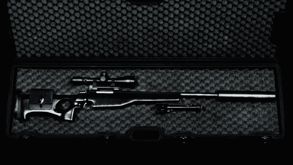 best gun cases