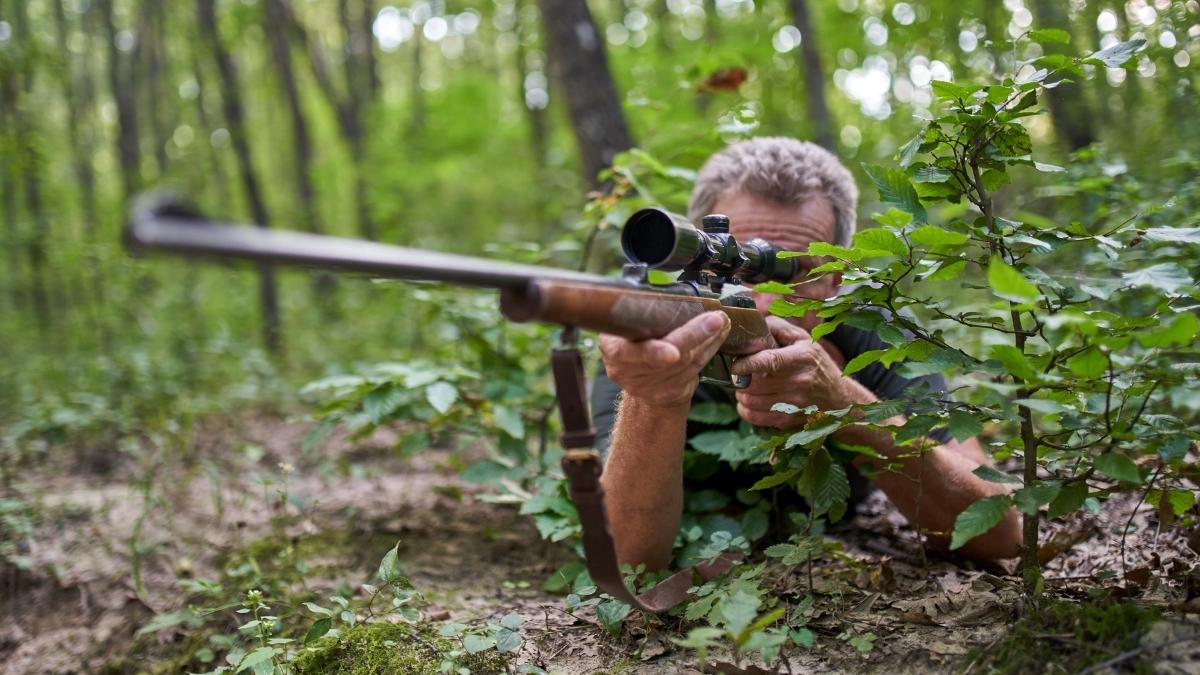 Hunter aiming a scoped rifle from the forest floor behind thick brush.