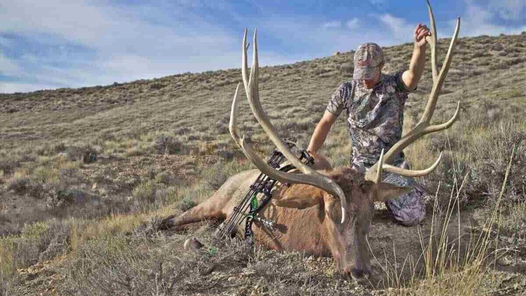 A person in camouflage kneels beside a large deer with impressive antlers in a rugged, grassy landscape under a clear blue sky.