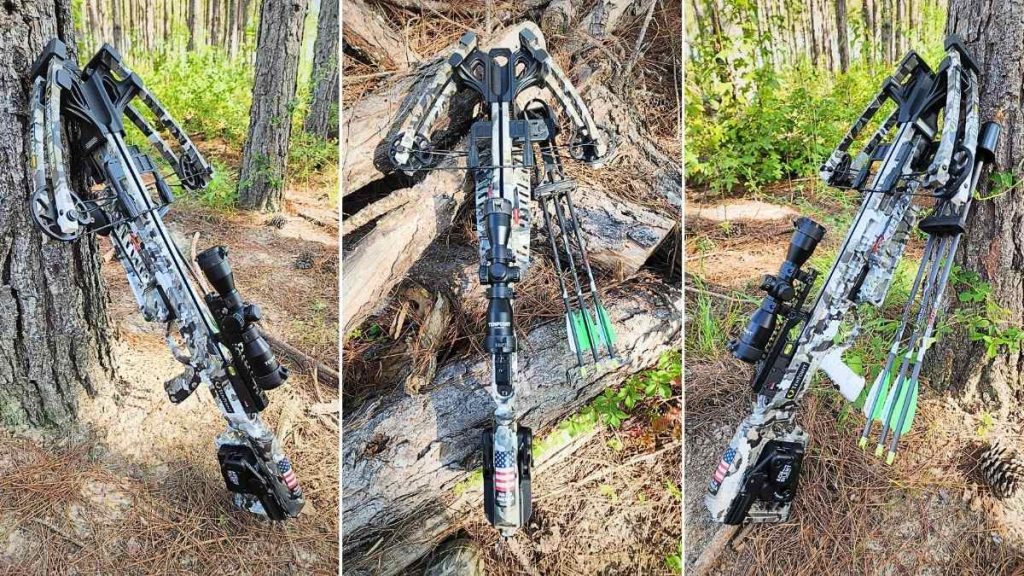 A best hunting crossbow resting against a tree, equipped with a scope and green-tipped bolts, set in a wooded area.